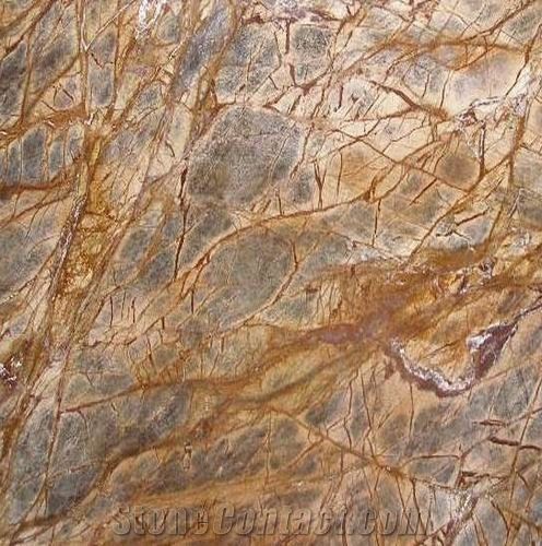 RAIN FOREST GOLDEN