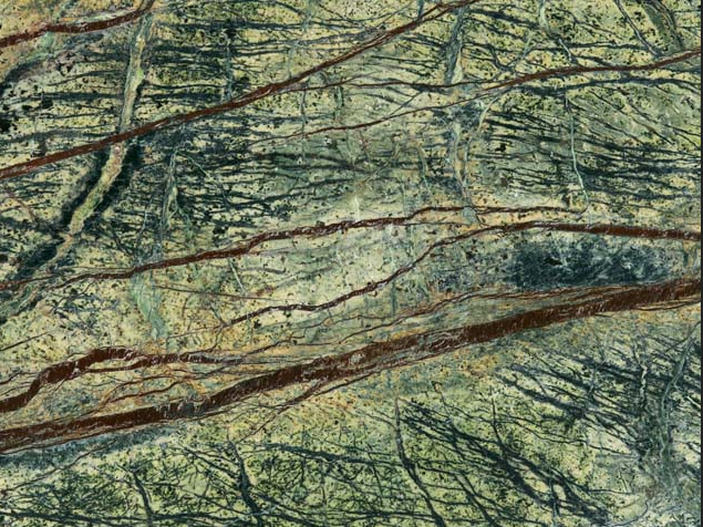 RAIN FOREST GREEN